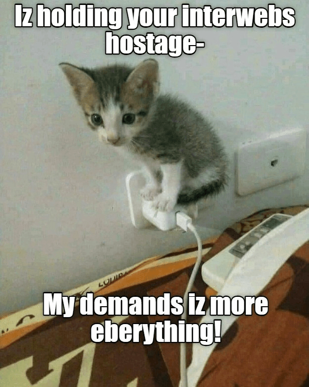 I-Can-Haz.png