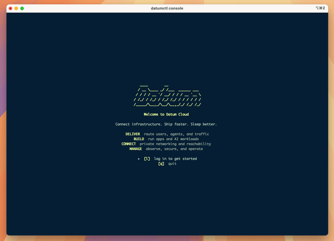 Screenshot of the datumctl AI