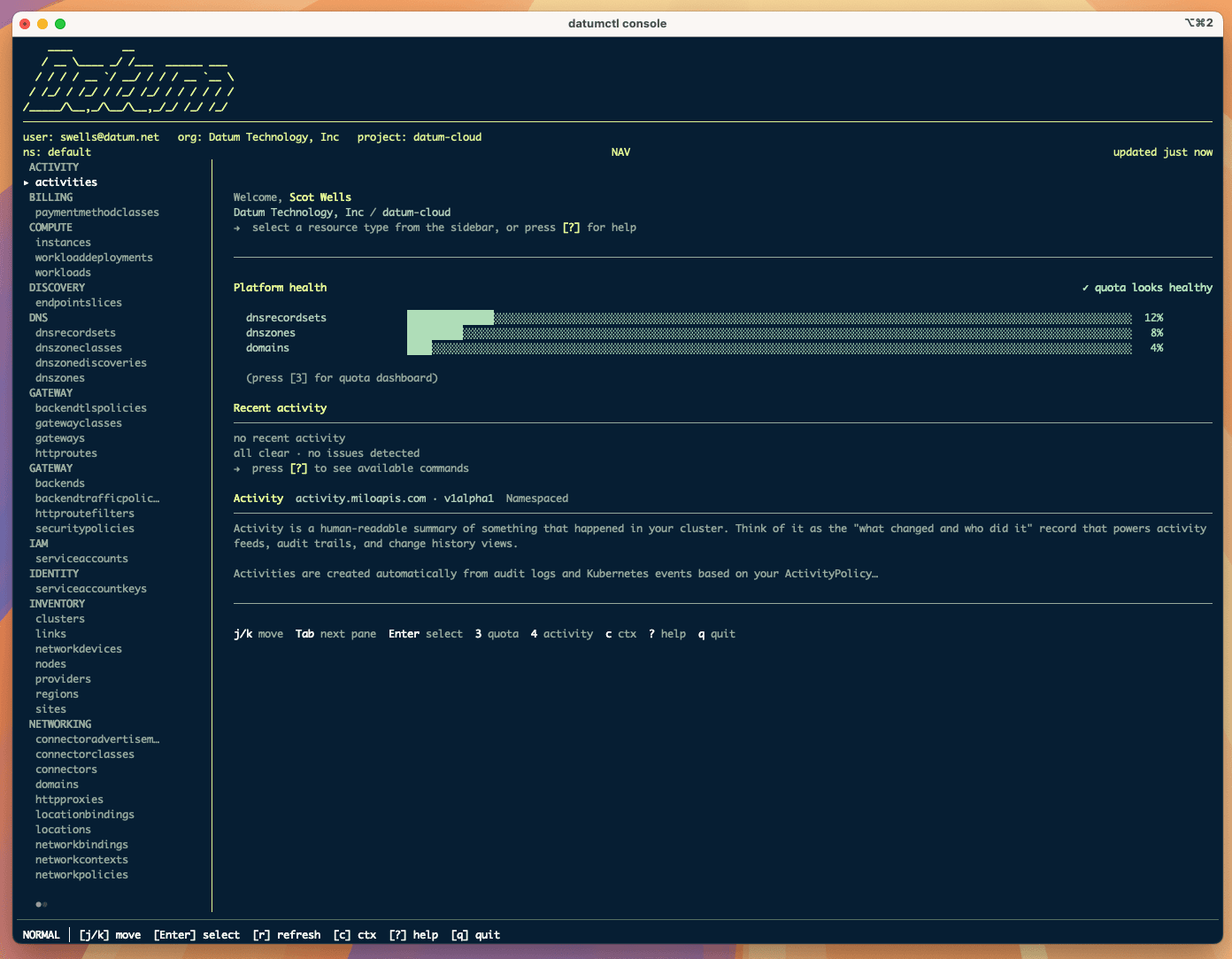 Screenshot of datumctl console