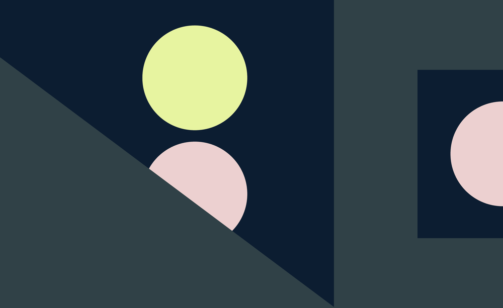 An image uploaded to Strapi called blog_meet_olli_cover