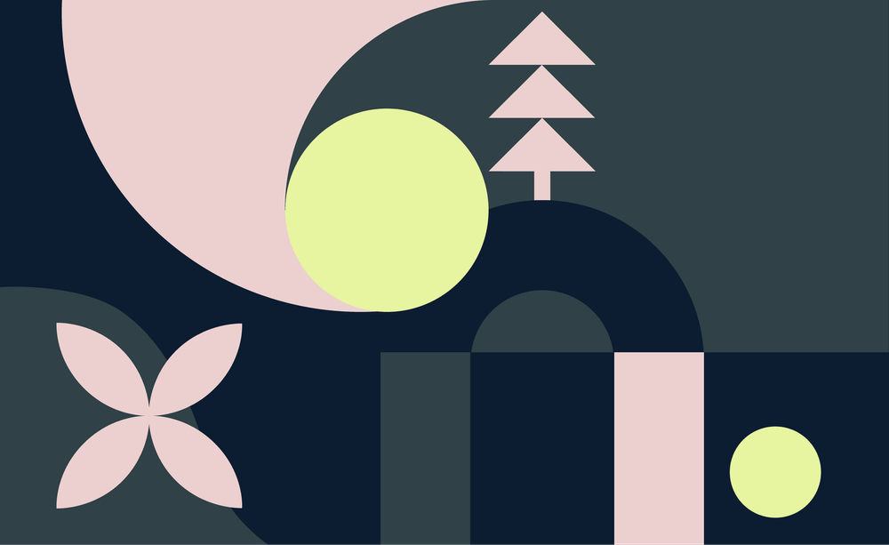 An image uploaded to Strapi called blog_open_sourcing_domain_validation_cover