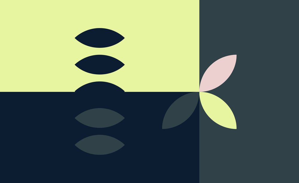 An image uploaded to Strapi called blog_the_network_stupid_cover